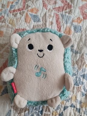 Fisher-Price Mint Green Plush Hedgehog Toy